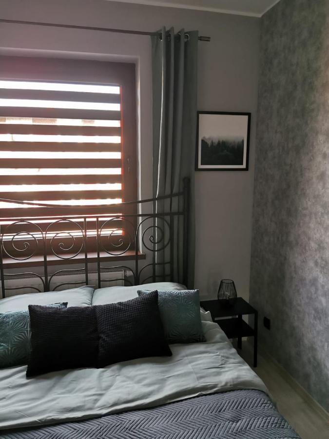 耶莱尼亚古拉Apartament Osiedle Jelonka公寓 外观 照片